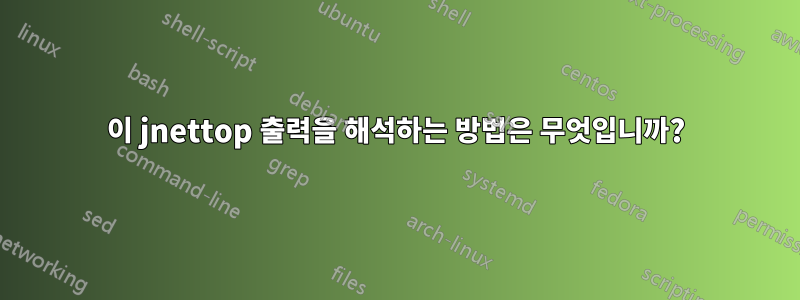 이 jnettop 출력을 해석하는 방법은 무엇입니까?