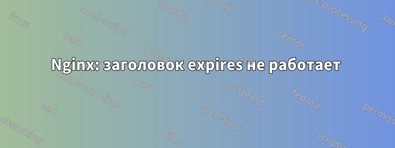 Nginx: заголовок expires не работает