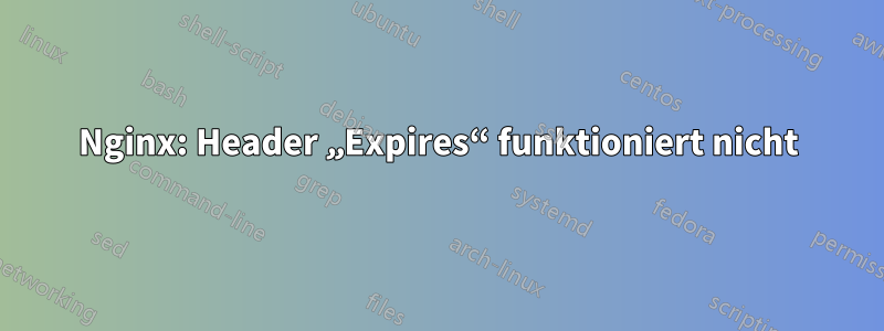 Nginx: Header „Expires“ funktioniert nicht