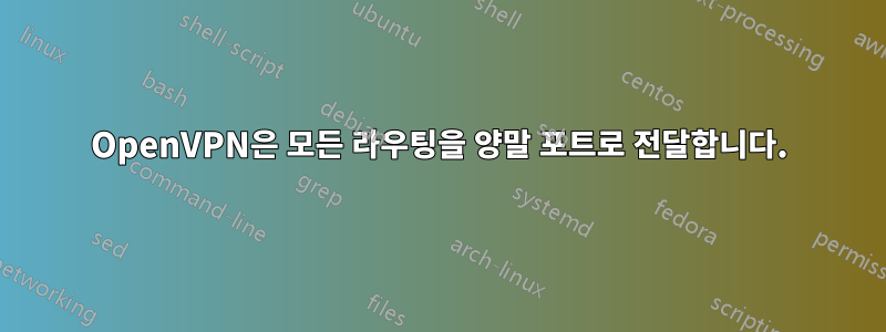 OpenVPN은 모든 라우팅을 양말 포트로 전달합니다.