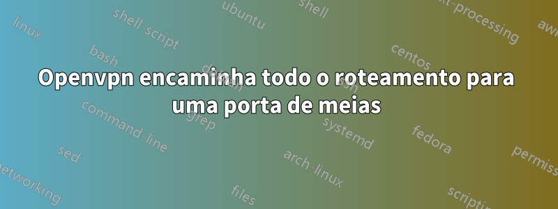 Openvpn encaminha todo o roteamento para uma porta de meias