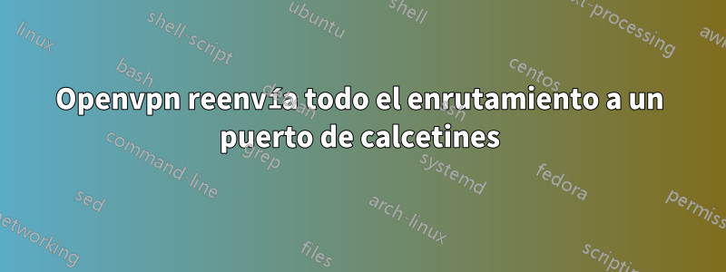 Openvpn reenvía todo el enrutamiento a un puerto de calcetines