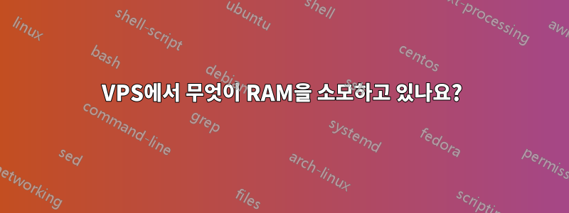 VPS에서 무엇이 RAM을 소모하고 있나요?