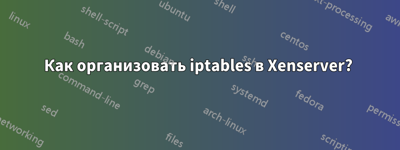 Как организовать iptables в Xenserver?