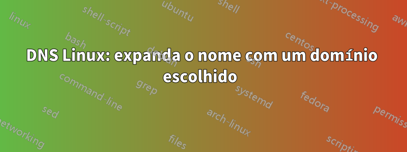 DNS Linux: expanda o nome com um domínio escolhido 
