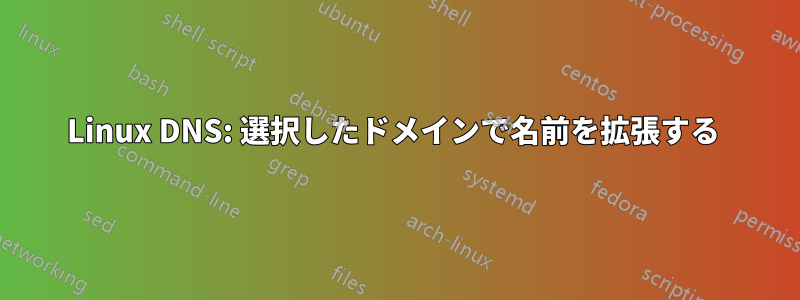 Linux DNS: 選択したドメインで名前を拡張する 