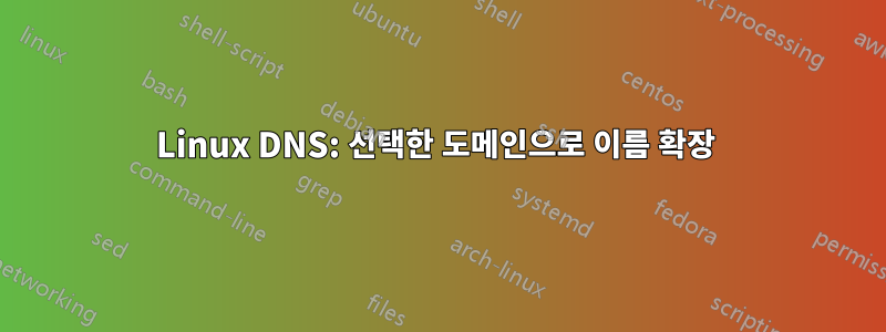 Linux DNS: 선택한 도메인으로 이름 확장 