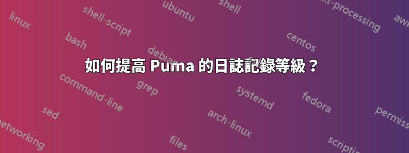如何提高 Puma 的日誌記錄等級？