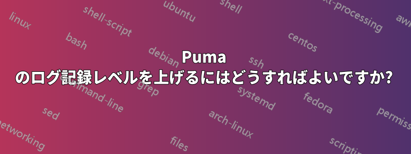 Puma のログ記録レベルを上げるにはどうすればよいですか?