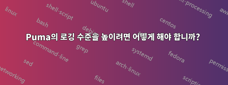 Puma의 로깅 수준을 높이려면 어떻게 해야 합니까?