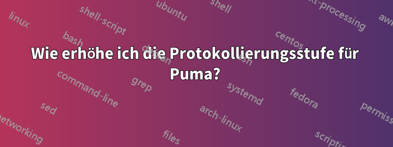 Wie erhöhe ich die Protokollierungsstufe für Puma?