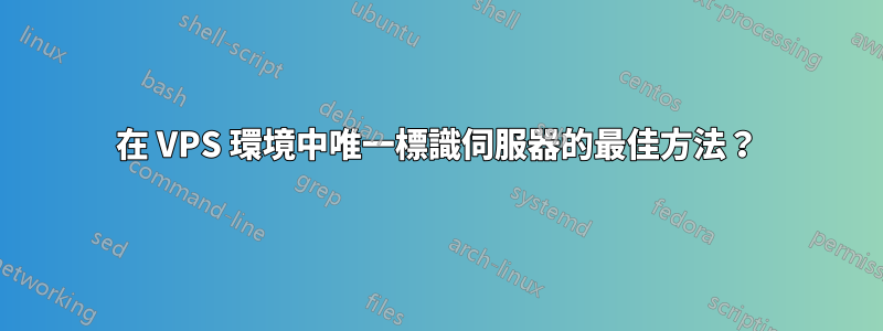 在 VPS 環境中唯一標識伺服器的最佳方法？
