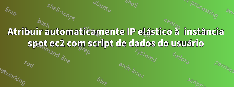Atribuir automaticamente IP elástico à instância spot ec2 com script de dados do usuário