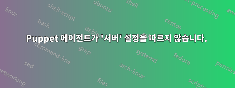Puppet 에이전트가 '서버' 설정을 따르지 않습니다.