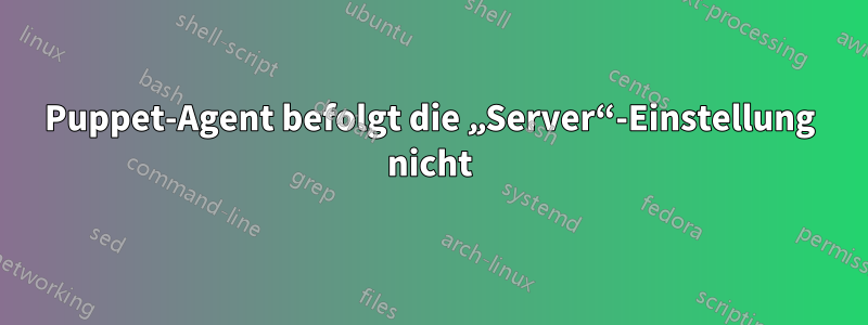 Puppet-Agent befolgt die „Server“-Einstellung nicht