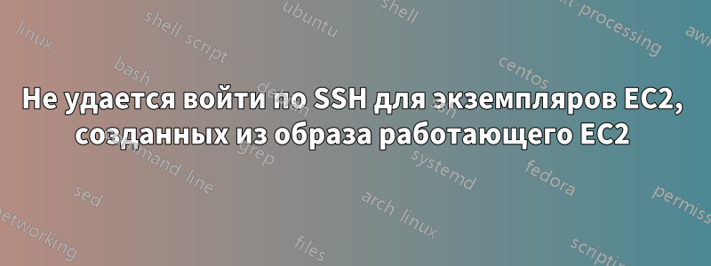 Не удается войти по SSH для экземпляров EC2, созданных из образа работающего EC2