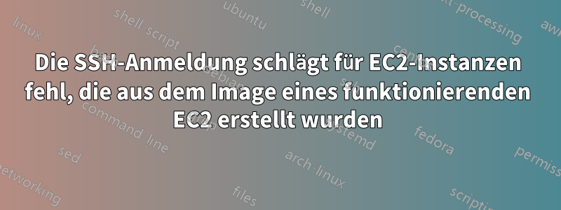 Die SSH-Anmeldung schlägt für EC2-Instanzen fehl, die aus dem Image eines funktionierenden EC2 erstellt wurden