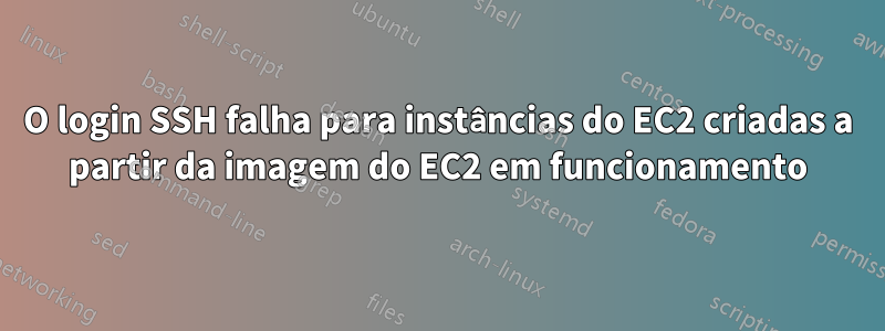 O login SSH falha para instâncias do EC2 criadas a partir da imagem do EC2 em funcionamento
