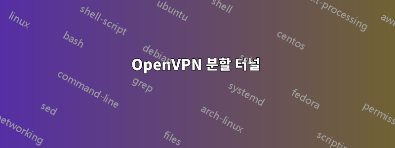 OpenVPN 분할 터널
