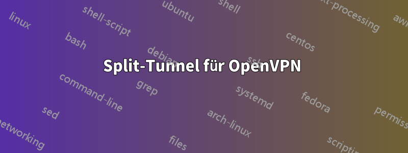 Split-Tunnel für OpenVPN