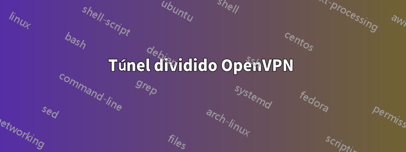 Túnel dividido OpenVPN