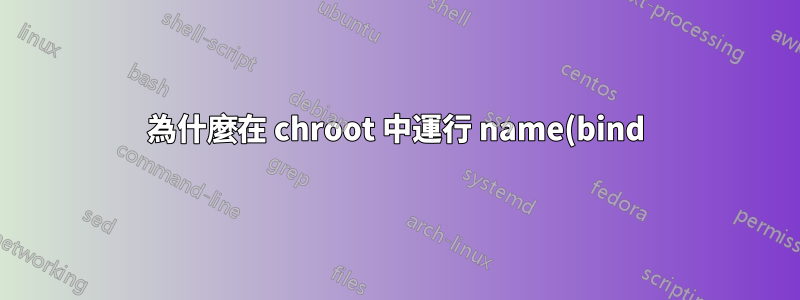 為什麼在 chroot 中運行 name(bind) 對於安全性如此重要?或者也許不是?