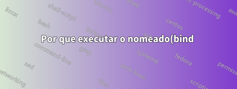Por que executar o nomeado(bind) no chroot é tão importante para a segurança? Ou talvez não seja?