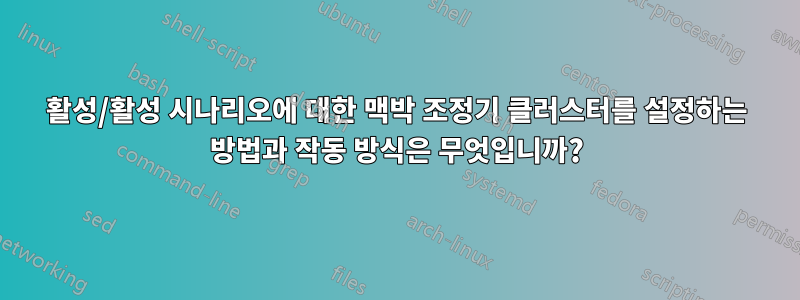 활성/활성 시나리오에 대한 맥박 조정기 클러스터를 설정하는 방법과 작동 방식은 무엇입니까?