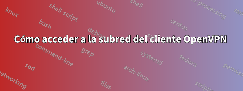 Cómo acceder a la subred del cliente OpenVPN