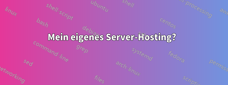 Mein eigenes Server-Hosting? 