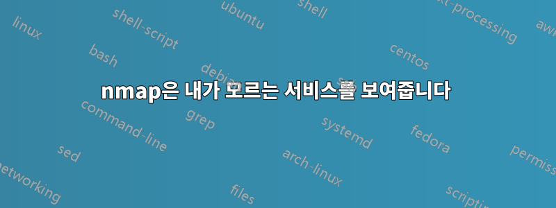 nmap은 내가 모르는 서비스를 보여줍니다