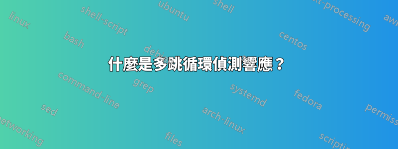 什麼是多跳循環偵測響應？