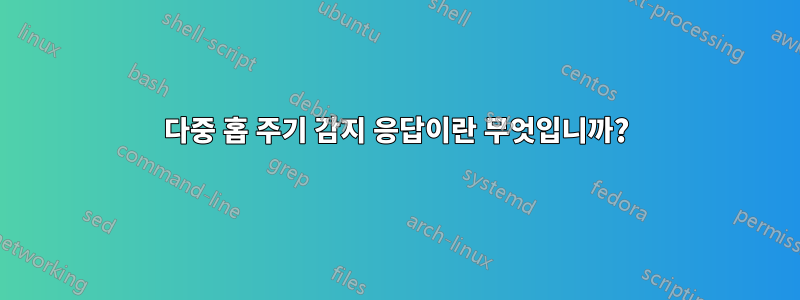 다중 홉 주기 감지 응답이란 무엇입니까?