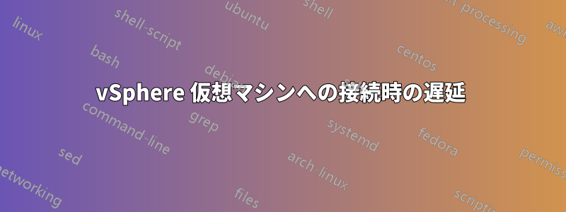 vSphere 仮想マシンへの接続時の遅延