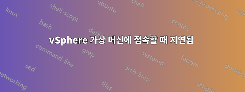vSphere 가상 머신에 접속할 때 지연됨