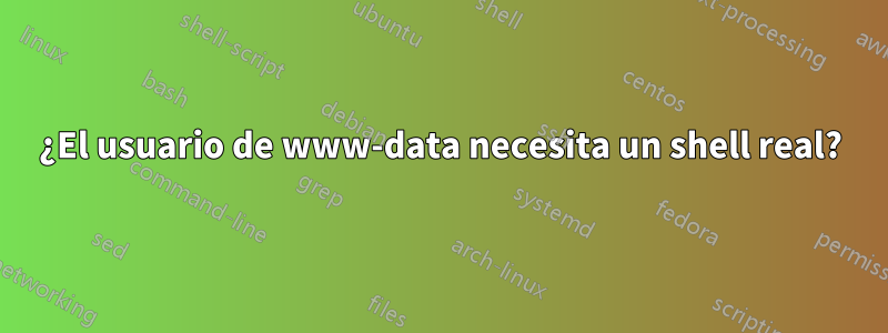 ¿El usuario de www-data necesita un shell real?