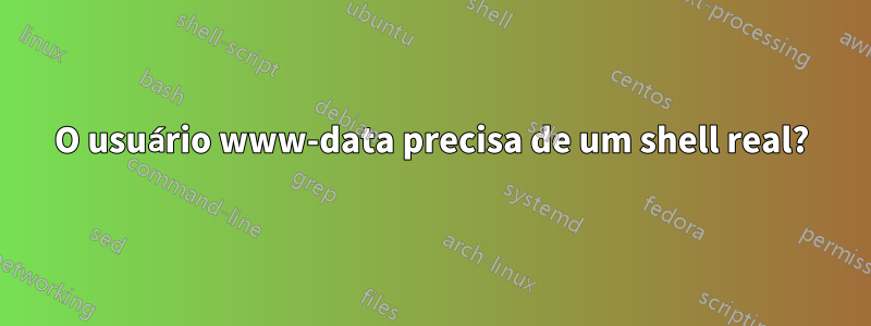 O usuário www-data precisa de um shell real?