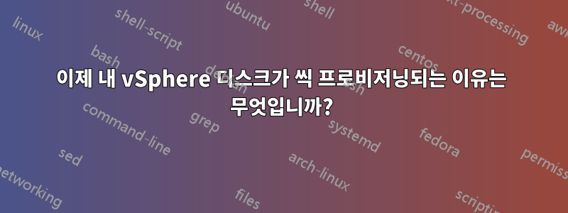 이제 내 vSphere 디스크가 씩 프로비저닝되는 이유는 무엇입니까?