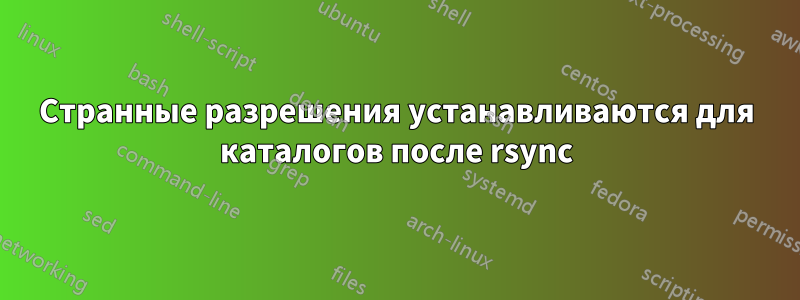 Странные разрешения устанавливаются для каталогов после rsync
