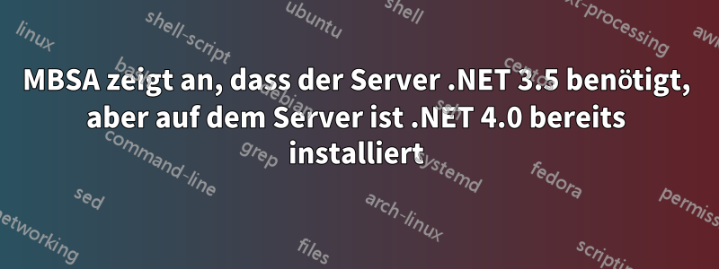 MBSA zeigt an, dass der Server .NET 3.5 benötigt, aber auf dem Server ist .NET 4.0 bereits installiert