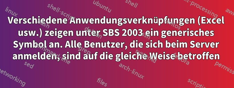 Verschiedene Anwendungsverknüpfungen (Excel usw.) zeigen unter SBS 2003 ein generisches Symbol an. Alle Benutzer, die sich beim Server anmelden, sind auf die gleiche Weise betroffen
