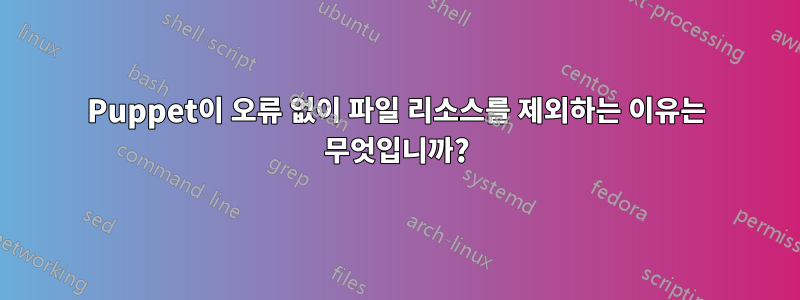 Puppet이 오류 없이 파일 리소스를 제외하는 이유는 무엇입니까?