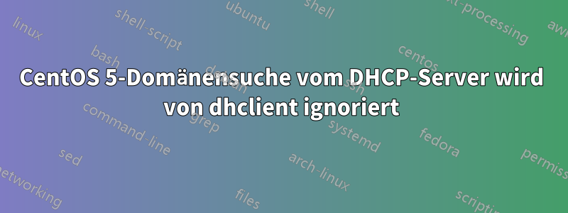CentOS 5-Domänensuche vom DHCP-Server wird von dhclient ignoriert