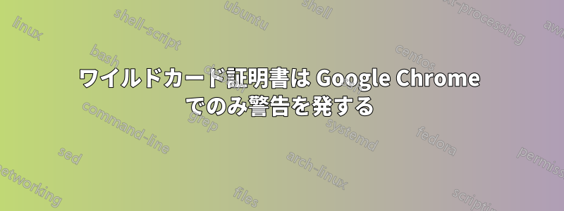 ワイルドカード証明書は Google Chrome でのみ警告を発する