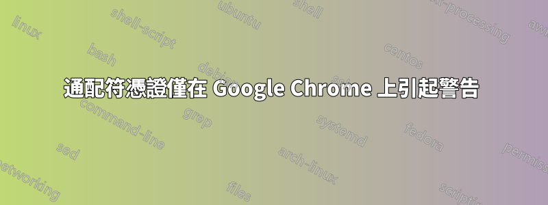 通配符憑證僅在 Google Chrome 上引起警告