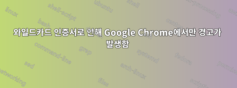 와일드카드 인증서로 인해 Google Chrome에서만 경고가 발생함