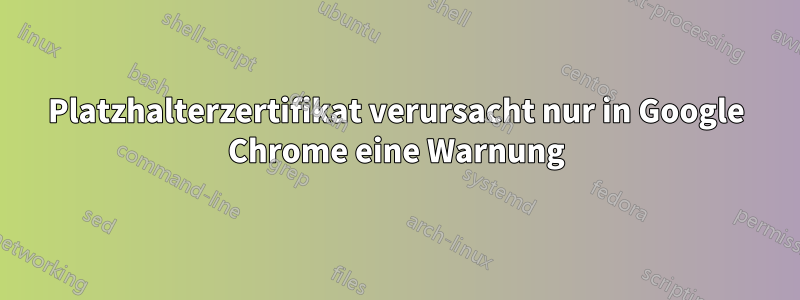 Platzhalterzertifikat verursacht nur in Google Chrome eine Warnung