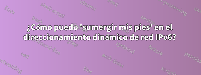 ¿Cómo puedo 'sumergir mis pies' en el direccionamiento dinámico de red IPv6?