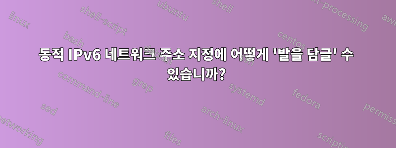동적 IPv6 네트워크 주소 지정에 어떻게 '발을 담글' 수 있습니까?