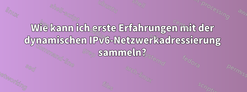 Wie kann ich erste Erfahrungen mit der dynamischen IPv6-Netzwerkadressierung sammeln?